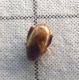 P1020209-Ridim.JPG