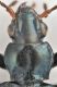 dettaglio-capo-pronoto-Bembidion-val-di-Breguzzo-TN~2.jpg