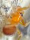 DSC03534.JPG