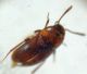 DSC03697.JPG