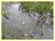 DSC03778.JPG