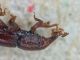 IMG-20250226-WA00021.jpg