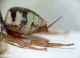 DSC03746.JPG