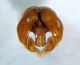 DSC03762.JPG