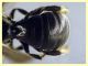 ime come e' messo 5 mm. piattino giallo (6).JPG
