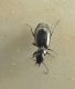 P1040122-Ridim.JPG