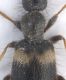 Experiment-3817-Extended Depth of Focus-03.jpg