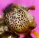numero-11-IMG_1164.jpg