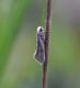 DSC_6964.JPG