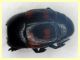 Hister quadrimaculatus - 13 mm. con fauci (4).JPG
