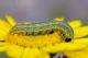 DSC_5268+5269.jpg