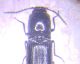 1751533296514.jpg