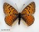 DSC04377.JPG