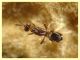 Anastatus sp. su uova di Lymantria dispar - (26).JPG