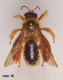DSC04446.JPG