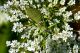DSC_8190.jpg