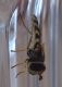 DSC04715ridotta.jpg