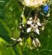 IMG_20250805_171818.jpg