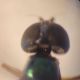 Compress_20250812_122253_3654.jpg