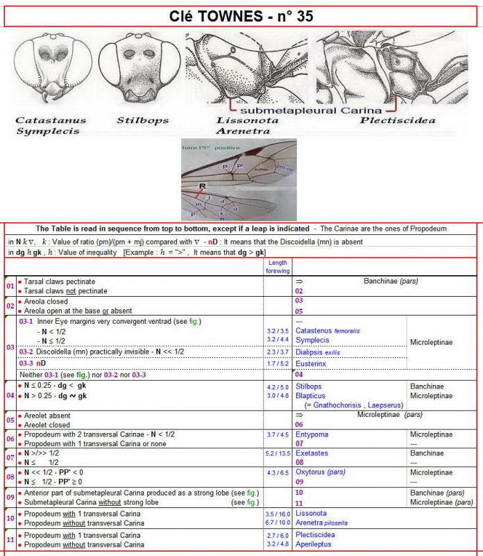TOWNES - Clé 35 - Clé + Images  - Image.jpg