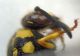 DSC04743.JPG