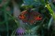 Immagine-013.jpg