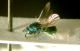 DSCN0143.JPG