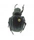New-Out99992 elab01.jpg