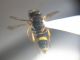DSCN3073.JPG