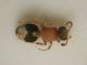DSCN5528.JPG