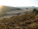 DSCN5484.JPG