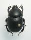 DSCN5221-1.jpg
