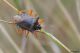 DSC_2685n.jpg