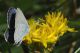 0 DSC_8253.jpg