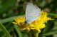 0 DSC_8254.jpg