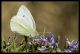 IMG_6804_LQ-2.jpg