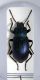 DSCN5333 1.JPG