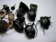 DSCN5334- r2.jpg