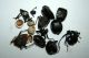 DSCN5334- r1.jpg