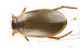 undet_IMG_6741_C00779.JPG