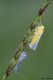 DSC_3565n.jpg