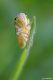 DSC_3229n.jpg