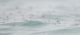 DSC_1367_1024.JPG