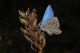 0 02 10 10 Subasio Spello 55.jpg