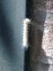 19072010434.jpg