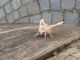 P1010187.jpg