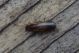 alexaandru_p1160425_20100227153540_small.jpg