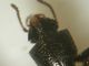 DSCN5905.JPG