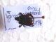 Hister quadrimaculatus (3).jpg