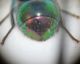 img4659vv8.jpg